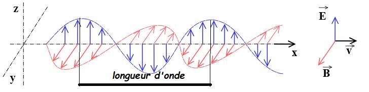 ondes 3D